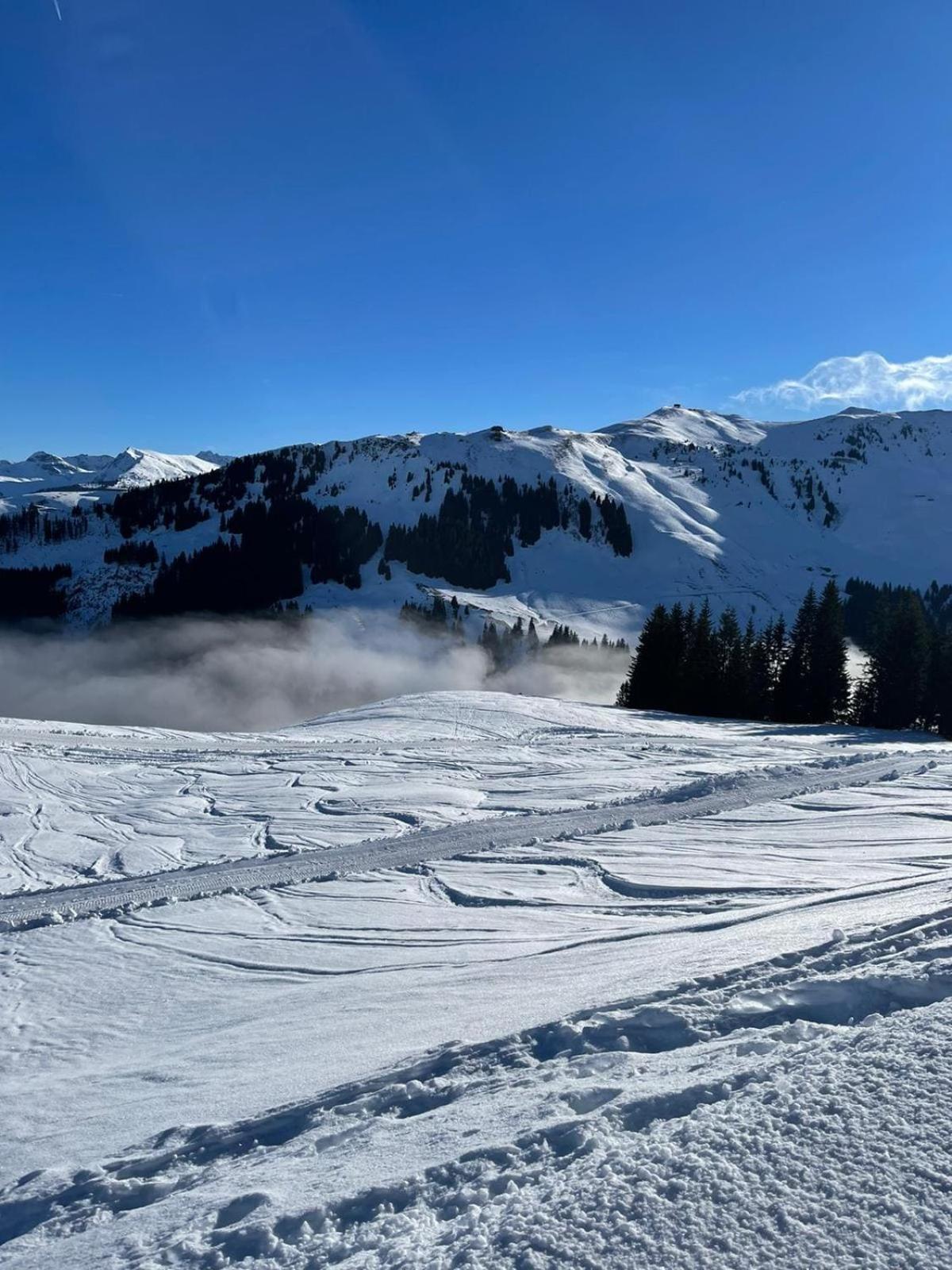 Geniessen Sie Bergblick & Sauna Im Modernen Chalet Going am Wilden Kaiser Dış mekan fotoğraf